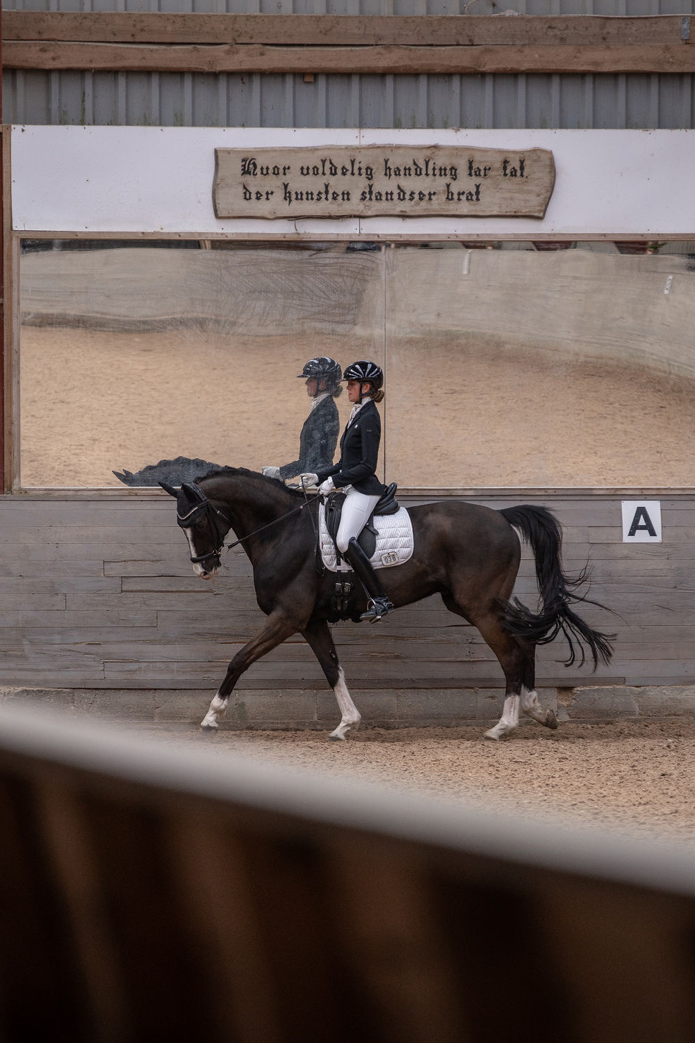 Sophia Dichow rider dressur på en mørk hest i ridehuset