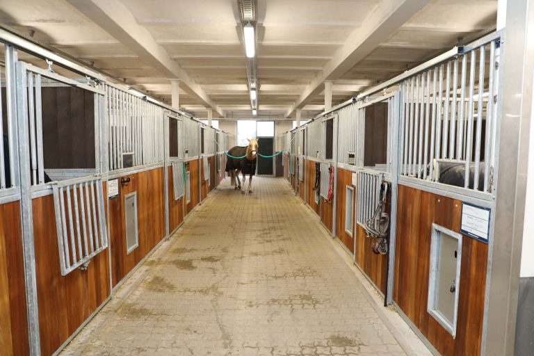 Fællesskab på Gentofte Rideklub