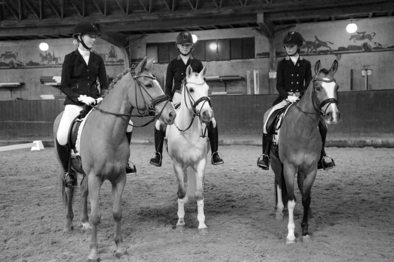 Rytter og hest på Gentofte Rideklub