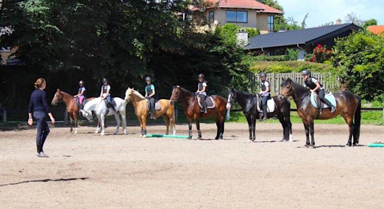 Rideskole-aaben-igen-gek-gentofte-rideklub