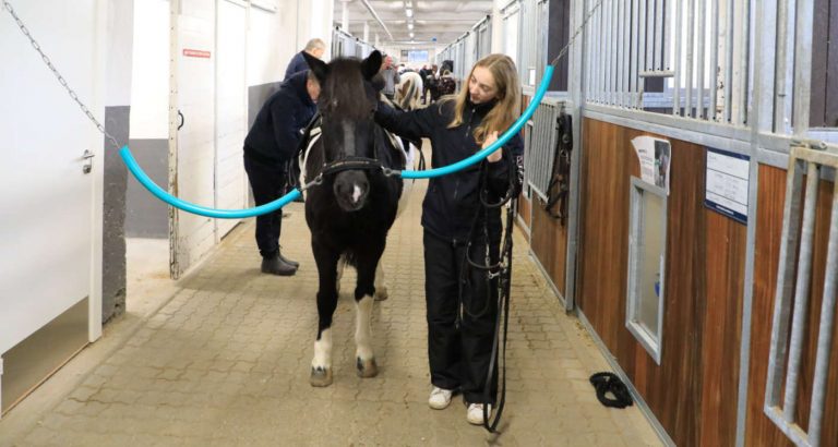 Ponyer og heste på Gentofte Rideklub