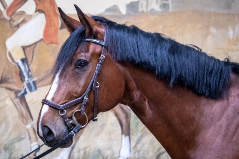 PICASSO
