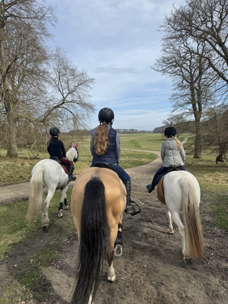 Øjeblik fra Gentofte Rideklub