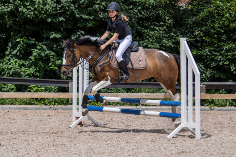 Hverdagsglimt fra Gentofte Rideklub