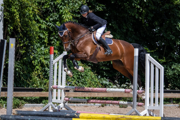 Rytter og hest over et spring på GEKs udendørsbane